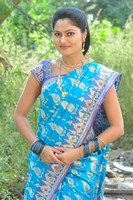 Suhasini Saree Photos